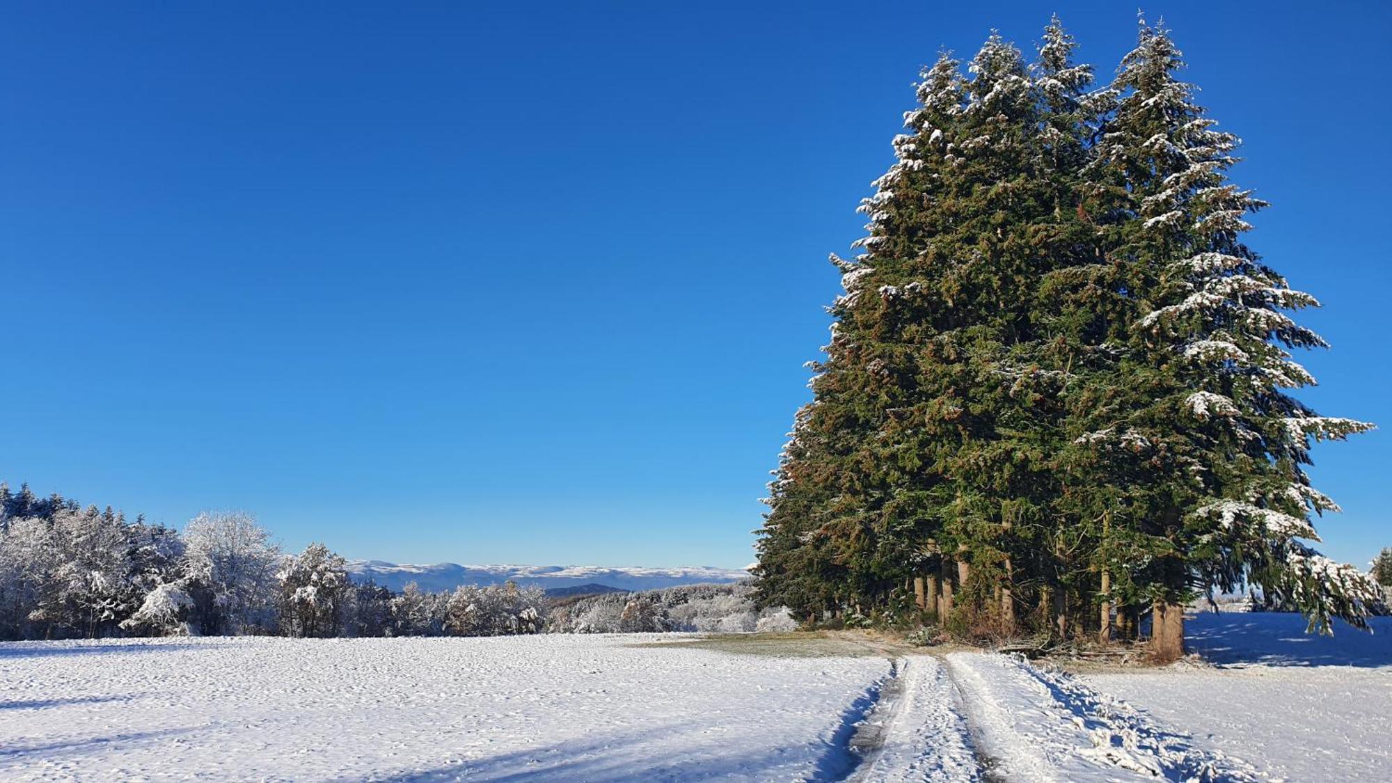 A L'Oree Des Volcans Sainte-Catherine  Esterno foto